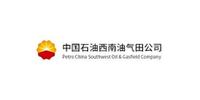 西南油气田